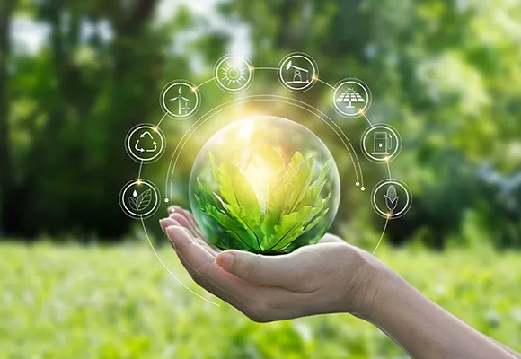 Materiales y producci&oacute;n ecol&oacute;gicos